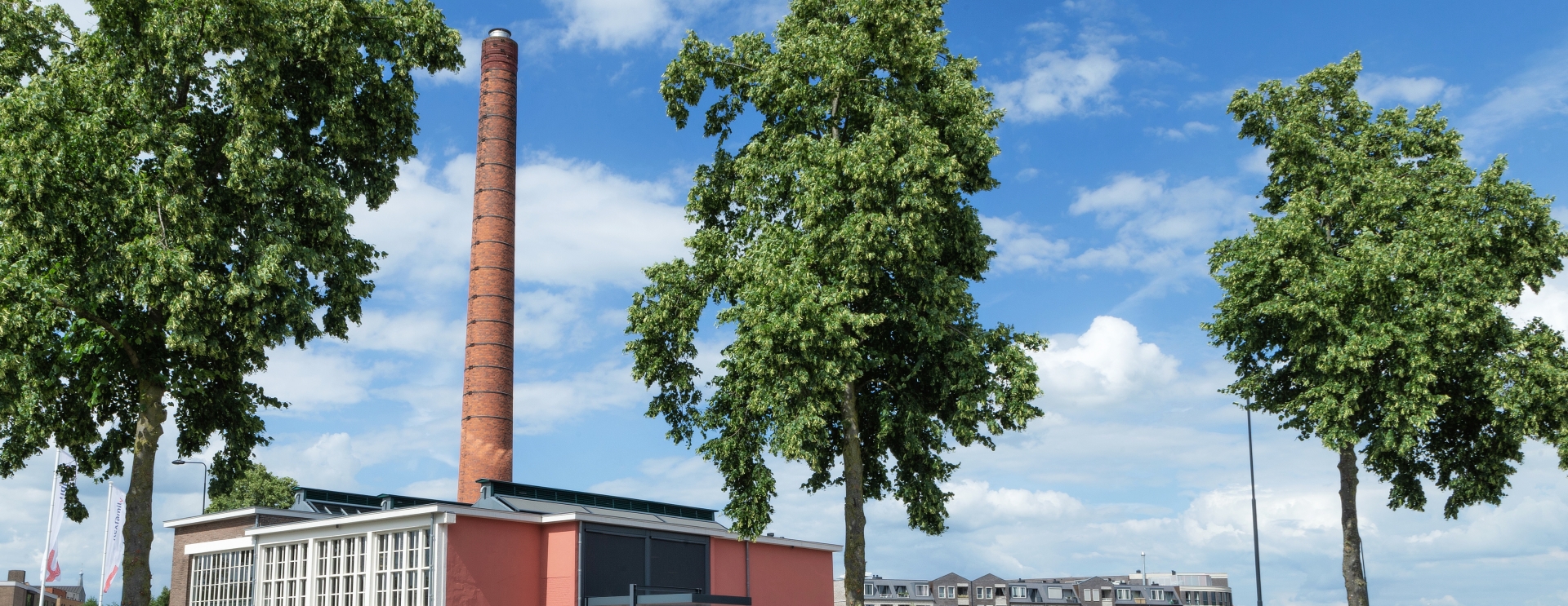 Jaką pracę na wakacje w Holandii wybrać i dlaczego warto?