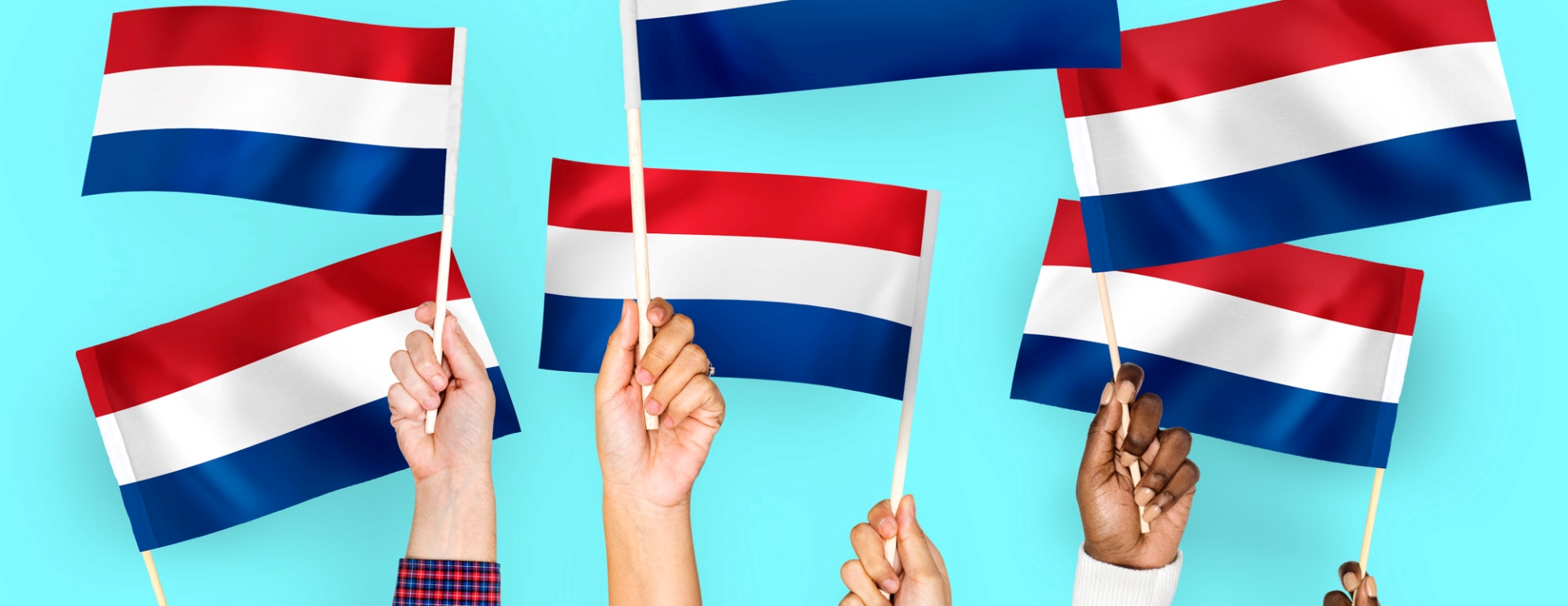 Niderlandzki czy holenderski? Jakim językiem naprawdę mówią mieszkańcy Holandii