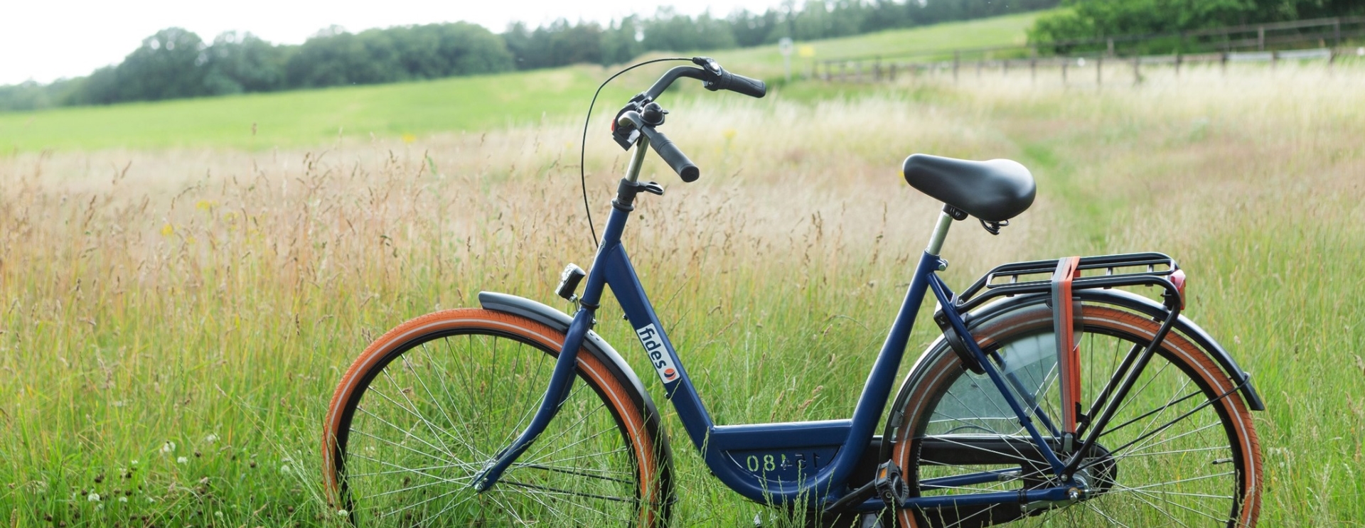 Podróż do Holandii