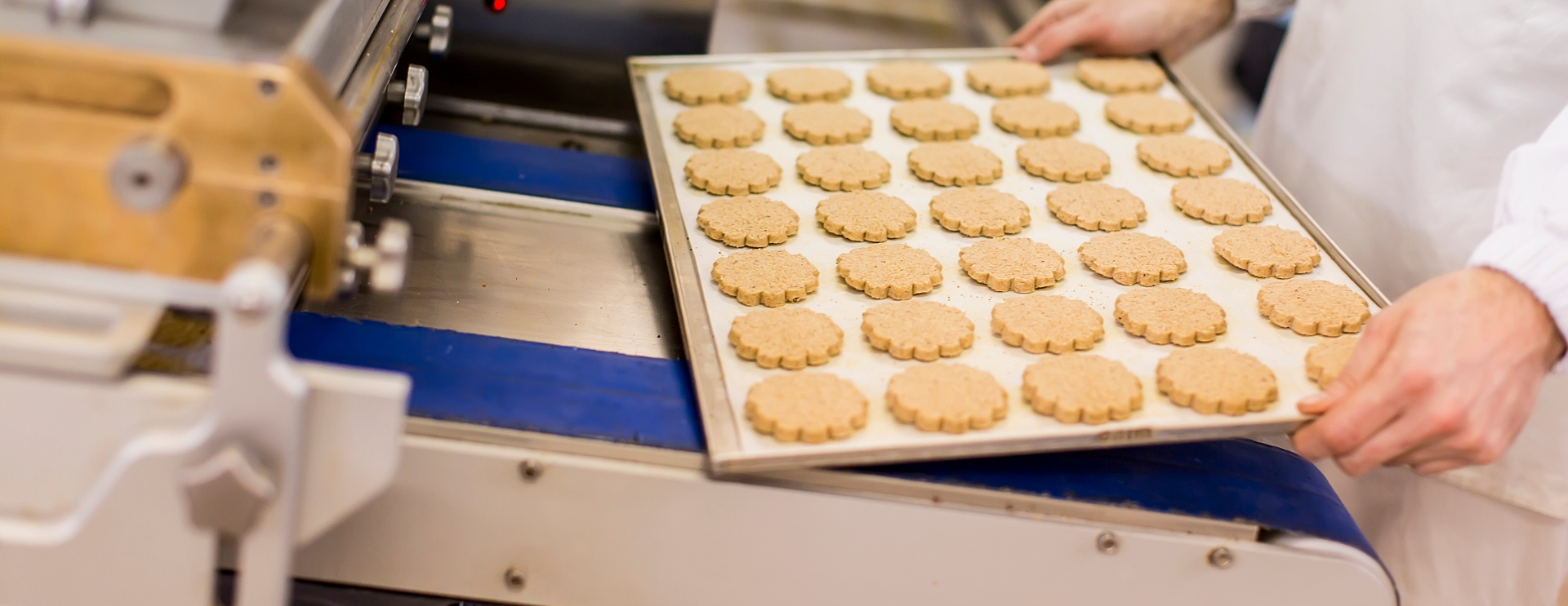 Operator maszyny (producent ciastek)