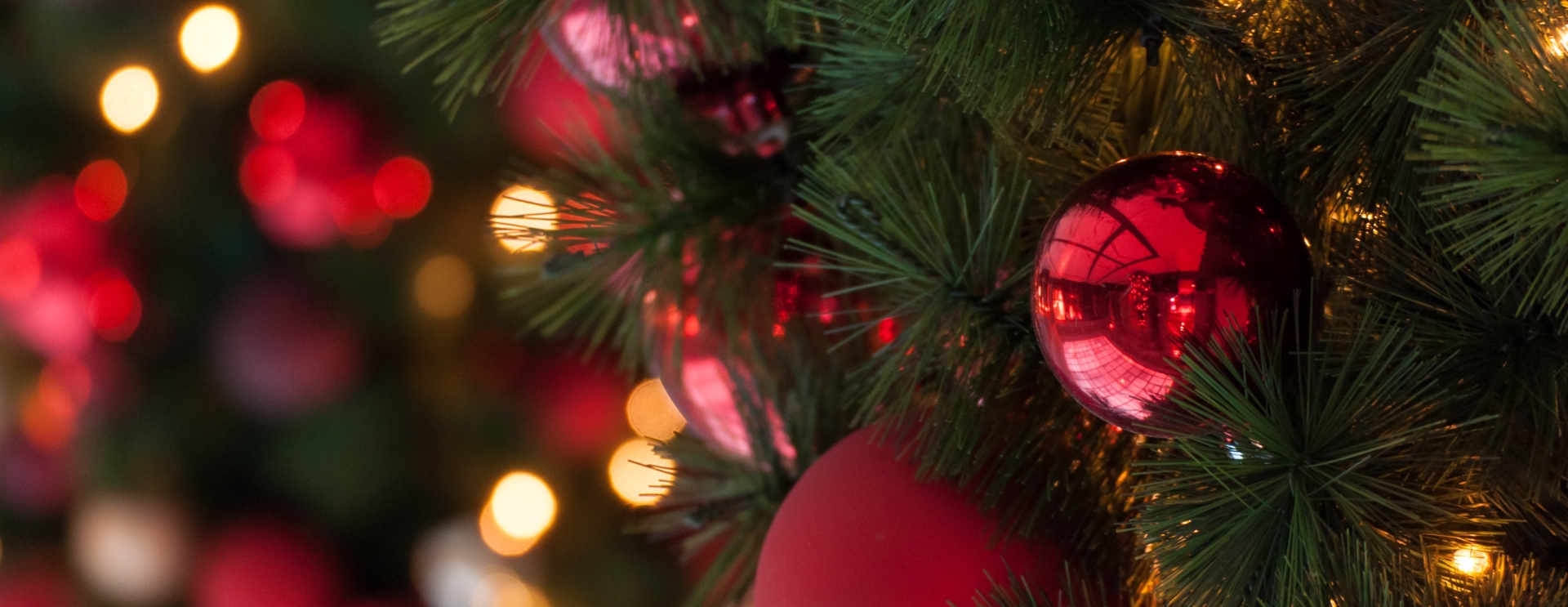 Praca na Święta w Holandii