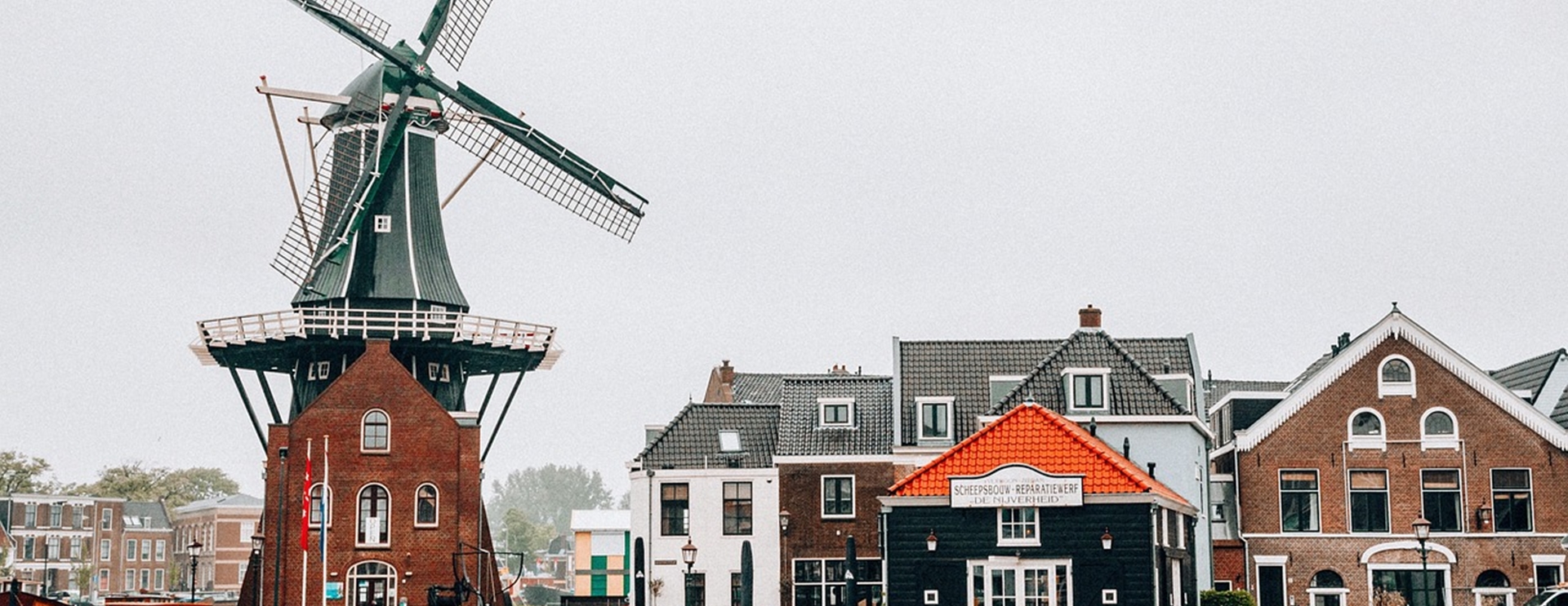 Dlaczego warto uczyć się języka niderlandzkiego, pracując w Holandii?